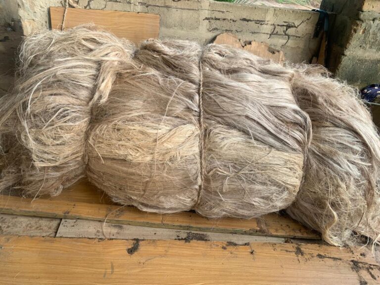 WhatsApp Image 2025-08-29 at 1.23