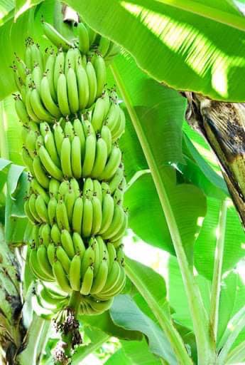 WhatsApp Image 2025-08-29 at 1.23