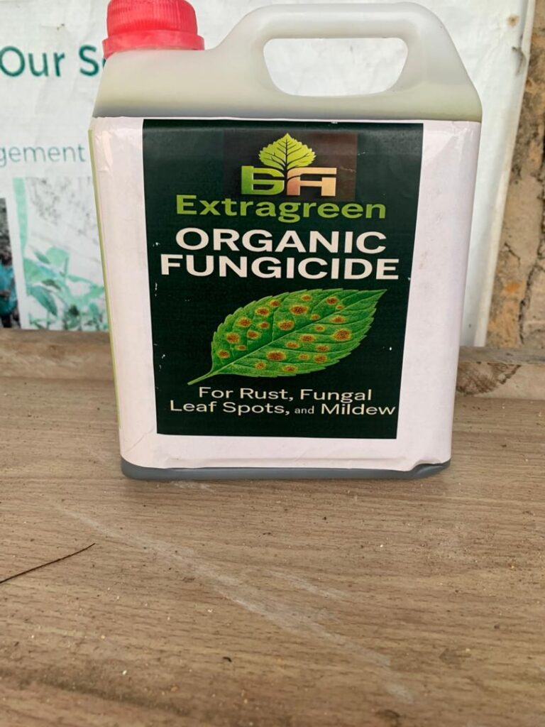 WhatsApp Image 2025-08-29 at 1.23