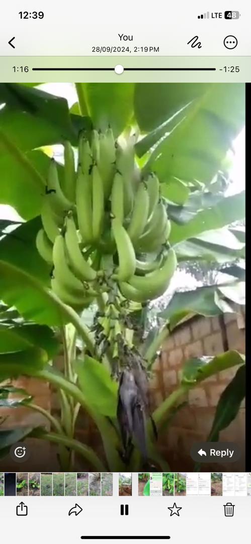 WhatsApp Image 2025-08-29 at 1.23