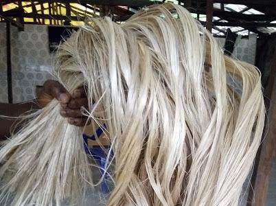 WhatsApp Image 2025-08-29 at 1.24