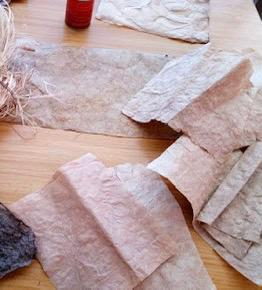 WhatsApp Image 2025-08-29 at 1.24